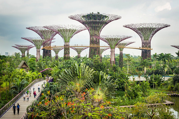 Làm thế nào để thành lập công ty ở Singapore?