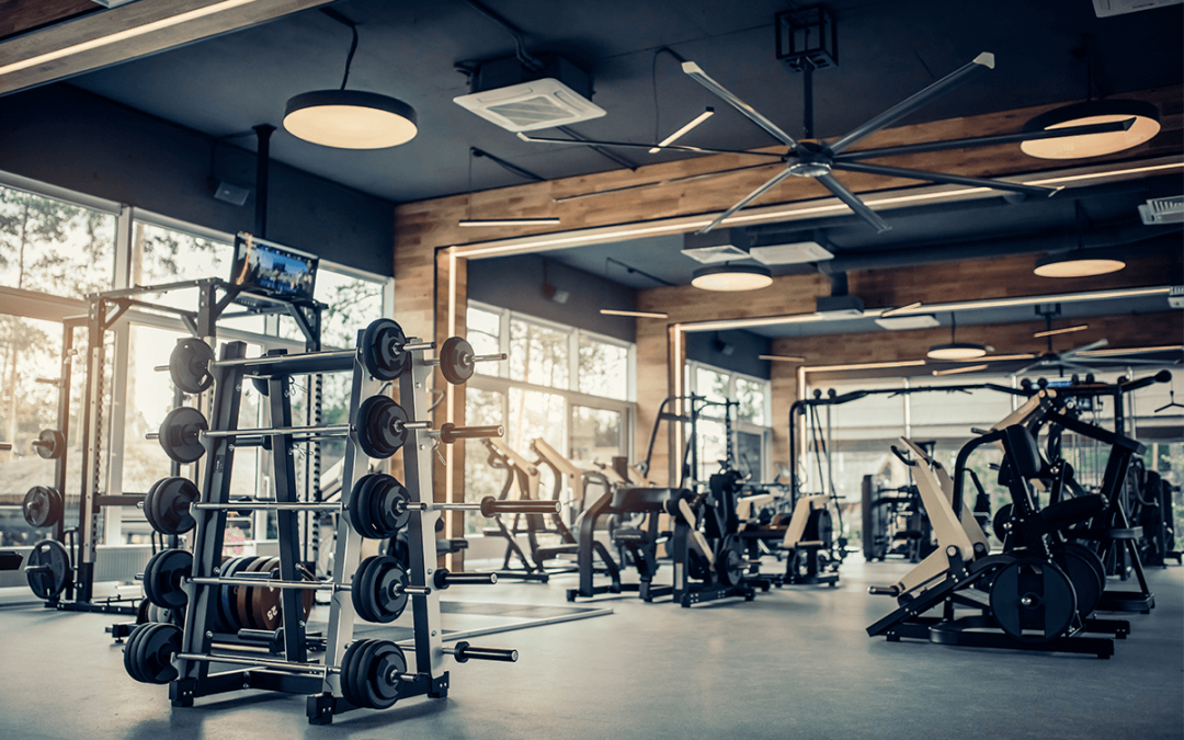 Here's how to structure a gym workout | The Hussle Blog