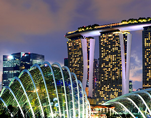 Cần chuẩn bị hồ sơ gì để thành lập Công ty tại Singapore?