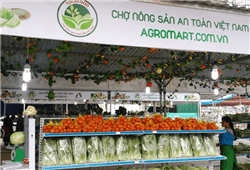 CHỈ DẪN ĐỊA LÝ VÀ NHÃN HIỆU TẬP THỂ CHỈ DẪN ĐỊA LÝ VÀ NHÃN HIỆU TẬP THỂ