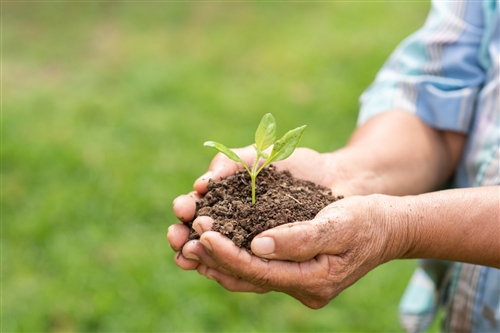 CHÍNH THỨC BÃI BỎ GIẤY PHÉP BUÔN BÁN PHÂN BÓN KỂ TỪ NĂM 2026