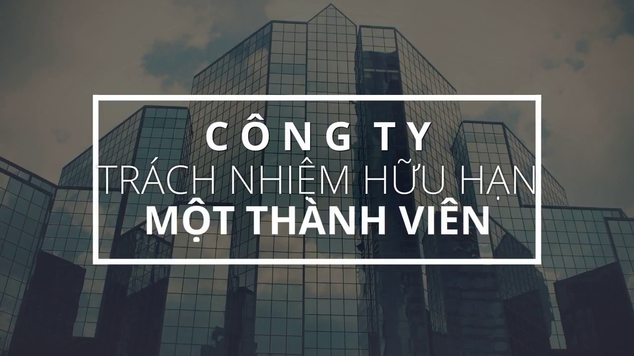 Cơ cấu tổ chức của Công ty TNHH một thành viên?