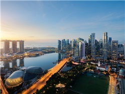 Dịch vụ thành lập công ty công nghệ ở Singapore uy tín, giá rẻ