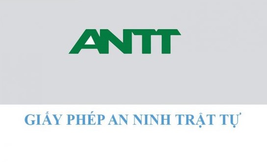 Dịch vụ xin cấp Giấy phép an ninh trật tự cho cơ sở kinh doanh dịch vụ bảo vệ