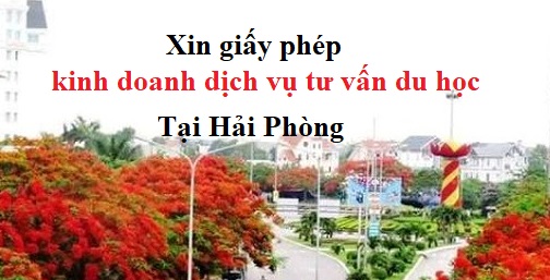 Dịch vụ xin giấy phép tư vấn du học ở Hải Phòng