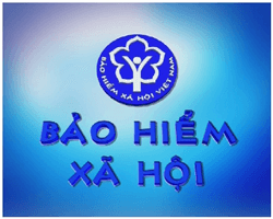 Đóng bảo hiểm xã hội như thế nào khi làm việc cùng lúc ở hai công ty? Đóng bảo hiểm xã hội như thế nào khi làm việc cùng lúc ở hai công ty?