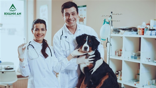 Những thủ tục để được cấp giấy đủ điều kiện buôn bán thuốc thú y