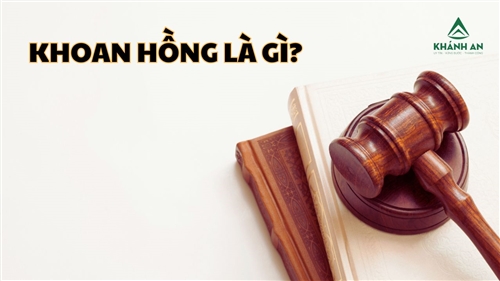 Khoan hồng là gì? Tìm hiểu về các chính sách khoan hồng của Bộ lật Hình sự