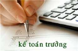 Có bắt buộc phải bố trí kế toán trưởng trong doanh nghiệp không?