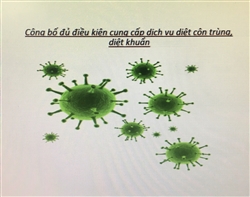 Công bố đủ điều kiện cung cấp dịch vụ diệt côn trùng, diệt khuẩn trong thời đại covid- 19