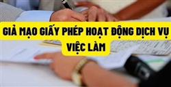 Hành vi giả mạo Giấy phép hoạt động dịch vụ việc làm