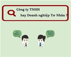 Lựa chọn Doanh nghiệp tư nhân hay Công ty TNHH một thành viên