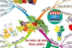 Lưu ý khi xin giấy phép an toàn thực phẩm