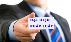 Một người làm người đại diện pháp luật cho nhiều công ty được không?