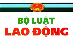 Nội dung Bộ Luật Lao Động 2019