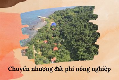 Thủ tục chuyển nhượng đất phi nông nghiệp 
