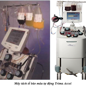 THỦ TỤC NHẬP KHẨU KHẨN CẤP CHO MÁY TÁCH CHIẾT TẾ BÀO THEO QUY ĐỊNH MỚI NHẤT TẠI THÔNG TƯ 13/2021/TT-BYT