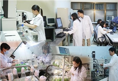 THỦ TỤC SÁP NHẬP TỔ CHỨC KHOA HỌC & CÔNG NGHỆ 2026