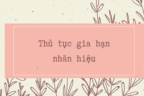TỪ 01/07/2026: CẬP NHẬT QUY ĐỊNH MỚI VỀ DUY TRÌ, GIA HẠN HIỆU LỰC VĂN BẰNG BẢO HỘ