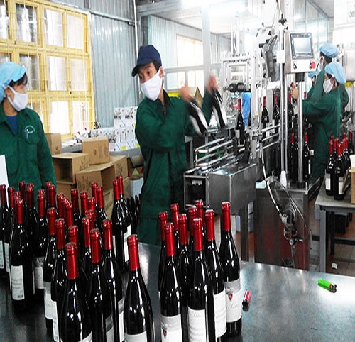 Xin giấy phép sản xuất rượu công nghiệp 